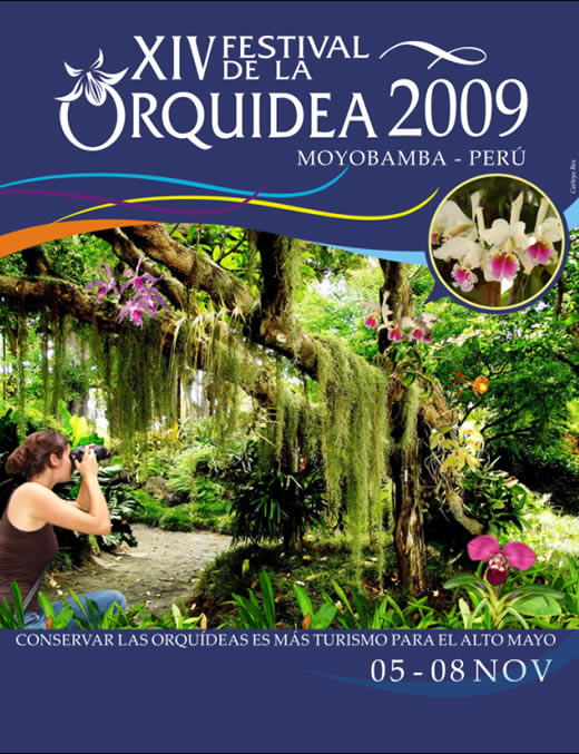 Poster Festival de la Orquidea