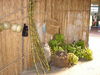DSC04139.JPG