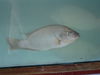DSC04155.JPG