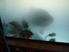 DSC04157.JPG