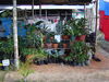 DSC04161.JPG
