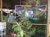 DSC04163.JPG