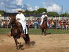 DSC04187.JPG