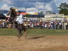 DSC04188.JPG